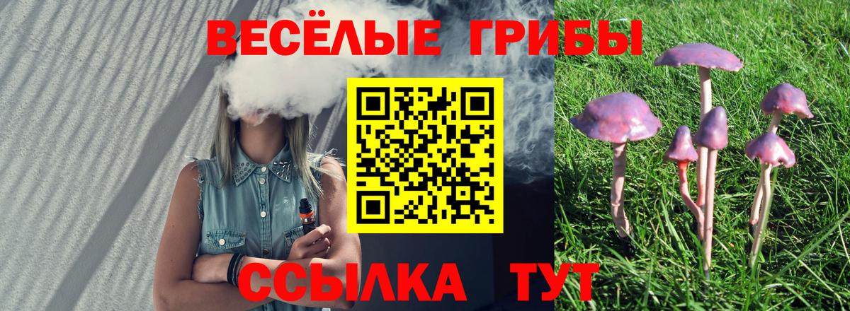 Галлюциногенные грибы ЛСД  Вход с VPN  Нарткала  купить закладку  Галлюциногенные грибы MAGIC MUSHROOMS 