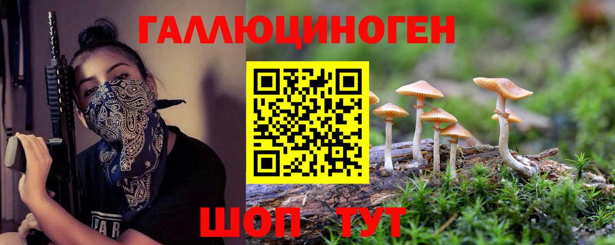 Псилоцибиновые грибы мицелий Нарткала